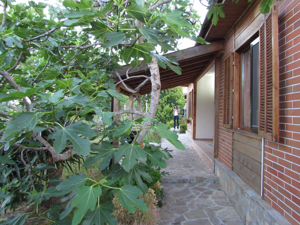 Villas And Bungalows Panorama 체르노모레츠 외부 사진