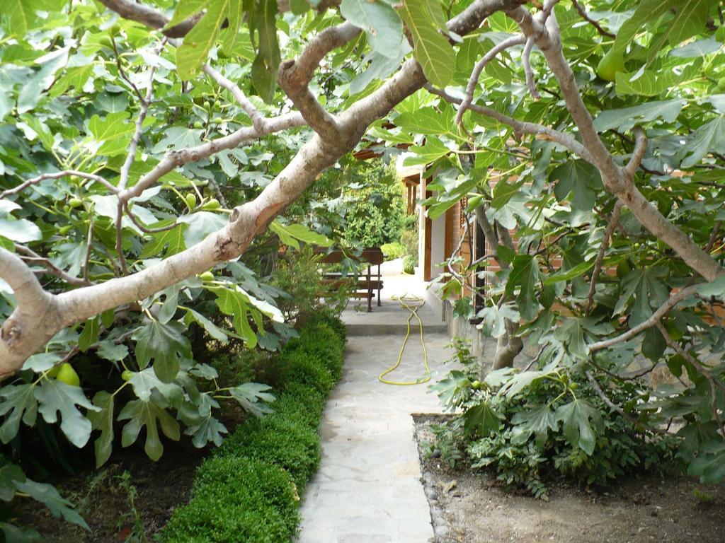 Villas And Bungalows Panorama 체르노모레츠 외부 사진