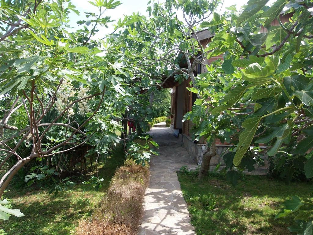 Villas And Bungalows Panorama 체르노모레츠 외부 사진
